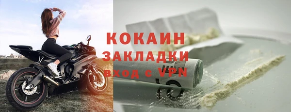 сатива Абаза