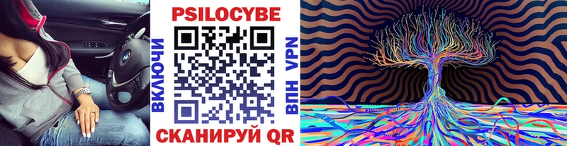 Галлюциногенные грибы мухоморы  Иланский 