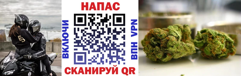 Шишки марихуана ГИДРОПОН  Иланский 